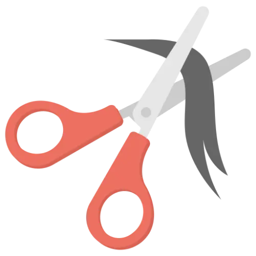 Scissors